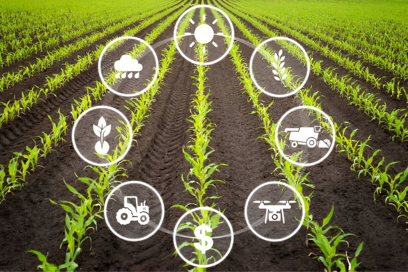 epic agric